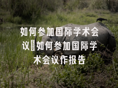 如何参加国际学术会议_如何参加国际学术会议作报告