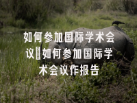 学术会议在线