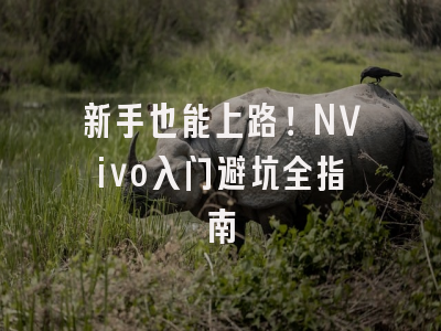 新手也能上路！NVivo入门避坑全指南