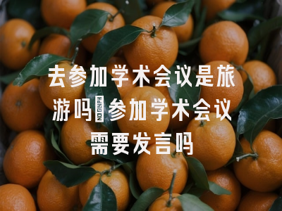 去参加学术会议是旅游吗_参加学术会议需要发言吗