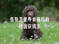 学术会议在线
