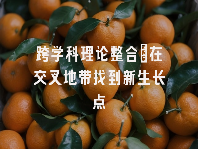 跨学科理论整合：在交叉地带找到新生长点