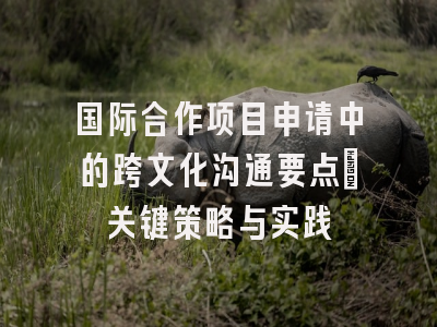 国际合作项目申请中的跨文化沟通要点：关键策略与实践