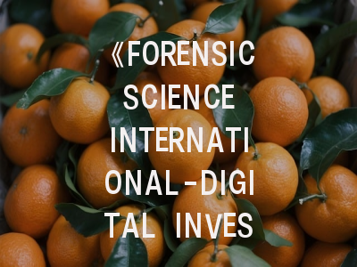 《FORENSIC SCIENCE INTERNATIONAL-DIGITAL INVESTIGATION》期刊介绍与投稿策略,j forensic sci