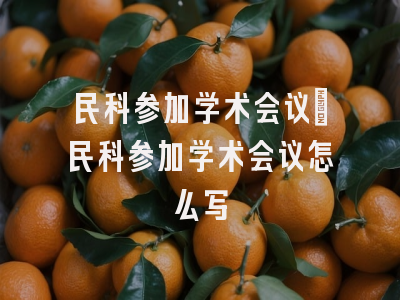 民科参加学术会议_民科参加学术会议怎么写