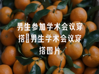 男生参加学术会议穿搭_男生学术会议穿搭图片