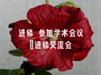 学术会议在线