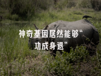 学术会议在线