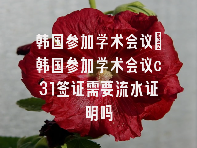 韩国参加学术会议_韩国参加学术会议c31签证需要流水证明吗