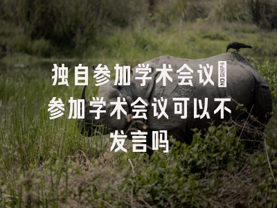 独自参加学术会议_参加学术会议可以不发言吗