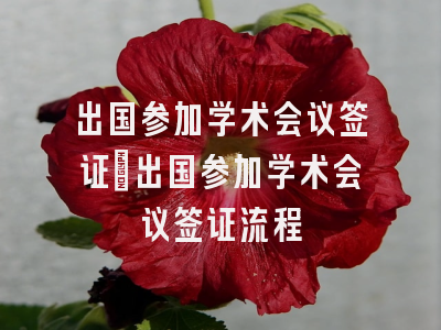 出国参加学术会议签证_出国参加学术会议签证流程