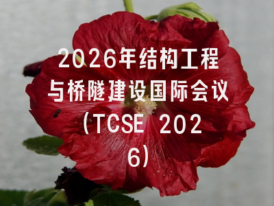 2026年结构工程与桥隧建设国际会议(TCSE 2026)