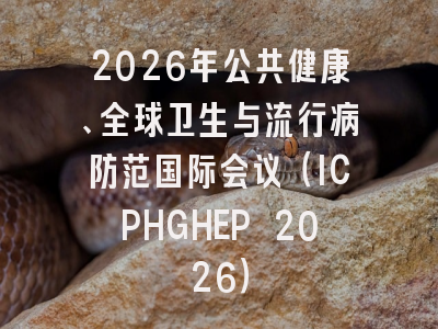 2026年公共健康、全球卫生与流行病防范国际会议（ICPHGHEP 2026）