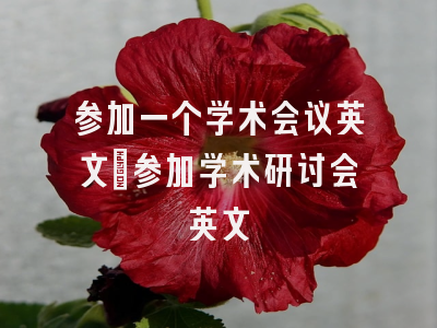 参加一个学术会议英文_参加学术研讨会英文