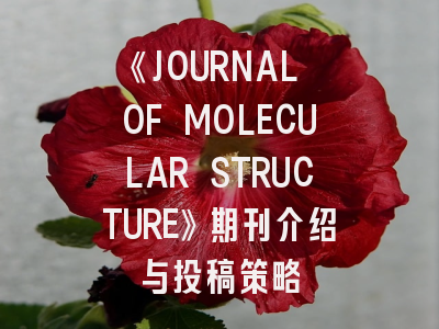 《JOURNAL OF MOLECULAR STRUCTURE》期刊介绍与投稿策略