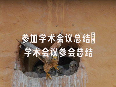 参加学术会议总结_学术会议参会总结
