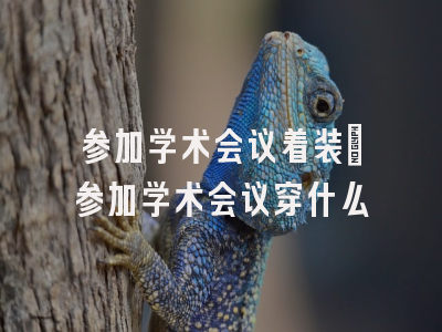 参加学术会议着装_参加学术会议穿什么