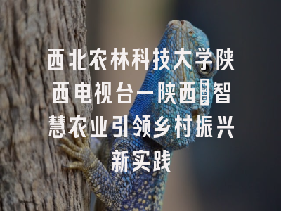 西北农林科技大学陕西电视台—陕西：智慧农业引领乡村振兴新实践