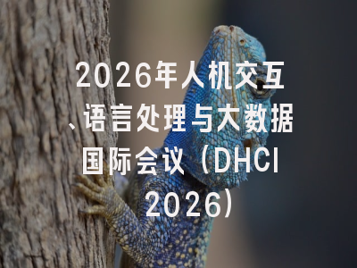 2026年人机交互、语言处理与大数据国际会议（DHCI 2026）