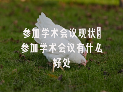 参加学术会议现状_参加学术会议有什么好处