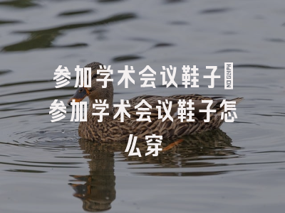 参加学术会议鞋子_参加学术会议鞋子怎么穿