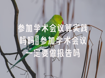 参加学术会议算实践吗吗_参加学术会议一定要做报告吗