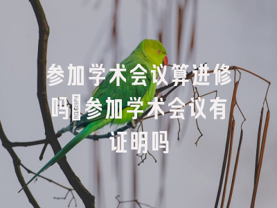 参加学术会议算进修吗_参加学术会议有证明吗