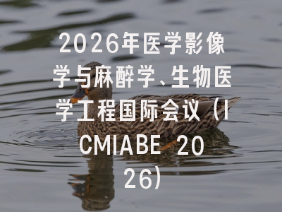 2026年医学影像学与麻醉学、生物医学工程国际会议(ICMIABE 2026)