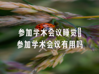 参加学术会议睡觉_参加学术会议有用吗