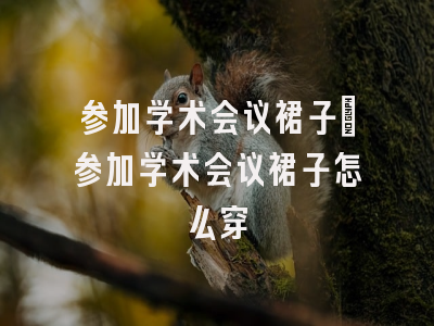 参加学术会议裙子_参加学术会议裙子怎么穿