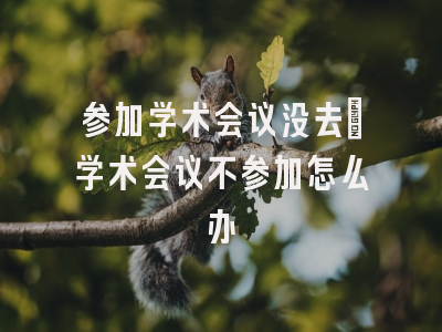 参加学术会议没去_学术会议不参加怎么办
