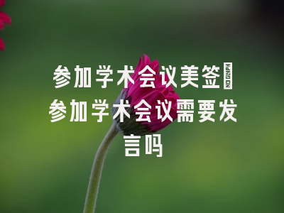 参加学术会议美签_参加学术会议需要发言吗