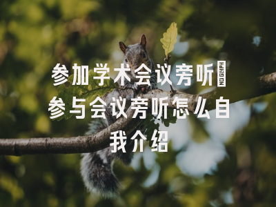 参加学术会议旁听_参与会议旁听怎么自我介绍