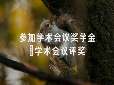 参加学术会议奖学金_学术会议评奖