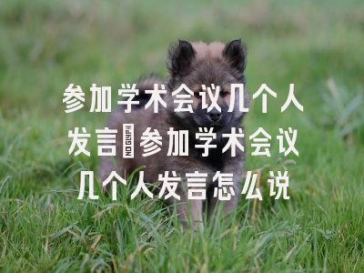 参加学术会议几个人发言_参加学术会议几个人发言怎么说