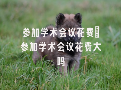 参加学术会议花费_参加学术会议花费大吗