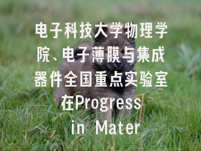 电子科技大学物理学院、电子薄膜与集成器件全国重点实验室在Progress in Materials Science上发表前瞻综述