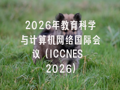 2026年教育科学与计算机网络国际会议（ICCNES 2026）