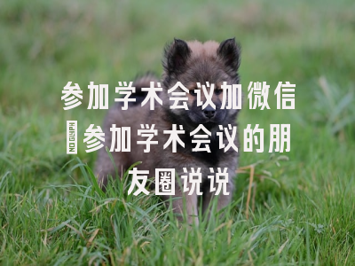 参加学术会议加微信_参加学术会议的朋友圈说说