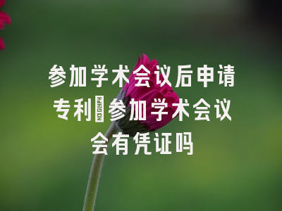 参加学术会议后申请专利_参加学术会议会有凭证吗