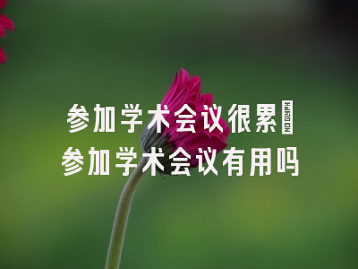 参加学术会议很累_参加学术会议有用吗