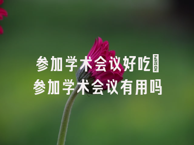 参加学术会议好吃_参加学术会议有用吗