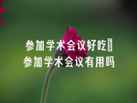 学术会议在线