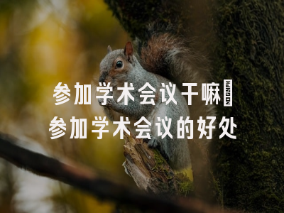 参加学术会议干嘛_参加学术会议的好处