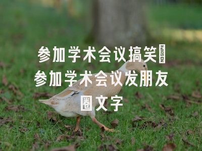 参加学术会议搞笑_参加学术会议发朋友圈文字