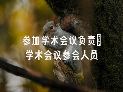 参加学术会议负责_学术会议参会人员