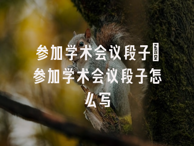 参加学术会议段子_参加学术会议段子怎么写