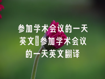 参加学术会议的一天英文_参加学术会议的一天英文翻译