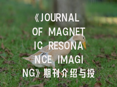 《JOURNAL OF MAGNETIC RESONANCE IMAGING》期刊介绍与投稿策略