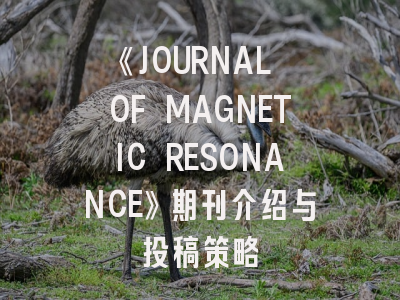 《JOURNAL OF MAGNETIC RESONANCE》期刊介绍与投稿策略